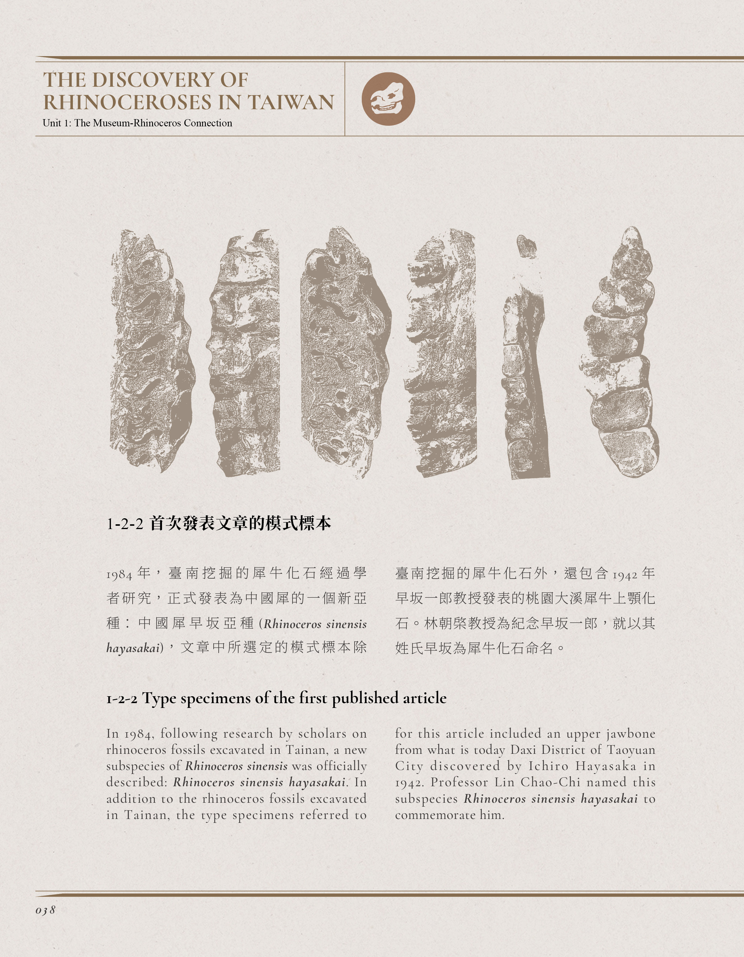 内頁雙語版式——中英對排，標本資料卡